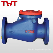din2532-2533 3 4 inch pn16 cast iron swing check valve pump